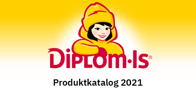 DI Produktkatalog 2021 banner